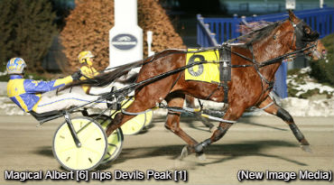 Maiden-Breaker For Magical Albert