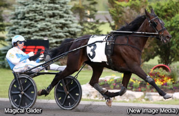 Fillies Flaunt Skills In Grassroots