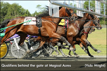 Magical Acres Qualifiers Complete