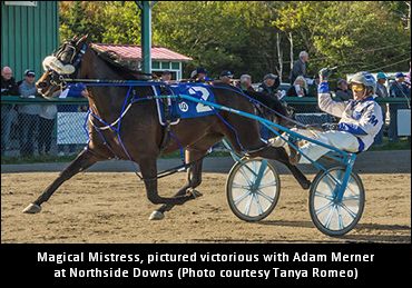 Magical Mistress Sold