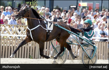 Top Elitlopp Contender Scratched