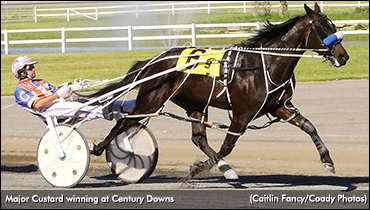 Major Custard Coasts In Plainsman