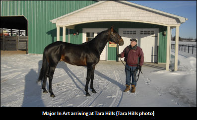 Quartet Of Studs Arrive Home Safely