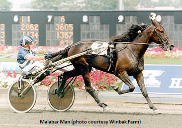 Malabar Man Undergoes Surgery