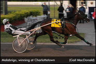 Malabrigo Comes Home To PEI