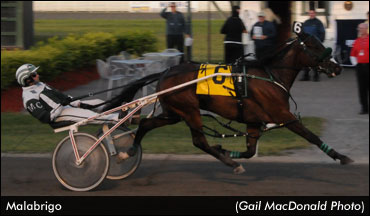 Can Anyone Defeat Malabrigo?