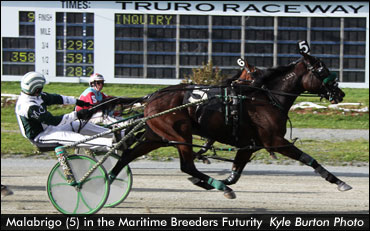 Malabrigo Adds Futurity Win To Resume