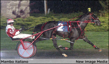 Weather No Obstacle For Mambo Italiano