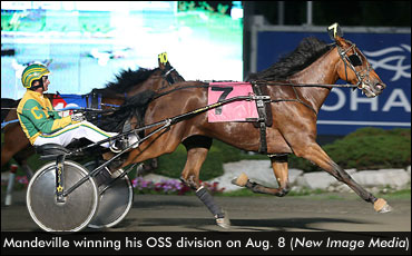 Rookie Trotters In Stakes Spotlight