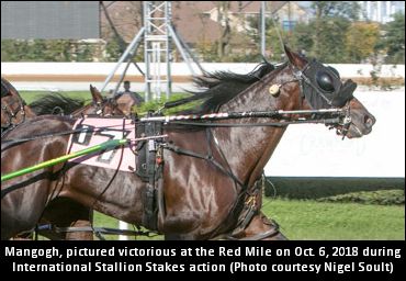 Mangogh Hoping For Crown Masterpiece