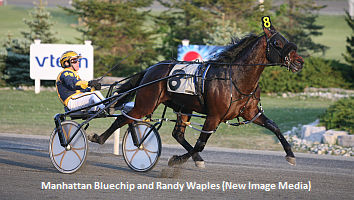 Austin On Manhattan Bluechip