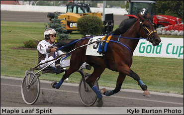 Maritime Star In The Making