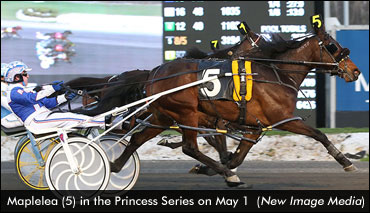 Maplelea Prevails In Princess Leg