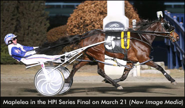 Fresh Faces In Sires Stakes Spotlight