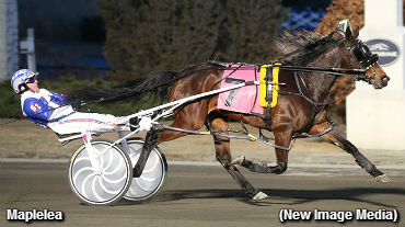 Chalk City In Blossom Sequel