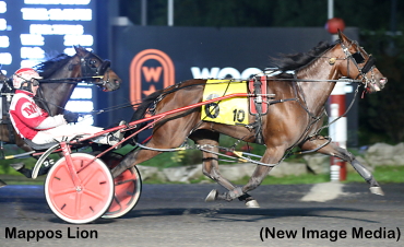 Six Straight For Mappos Lion