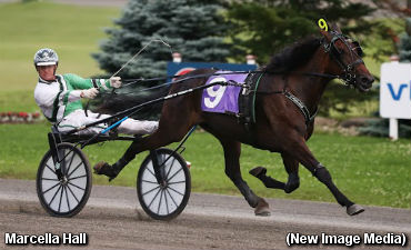   A Monday Trotfest At Mohawk