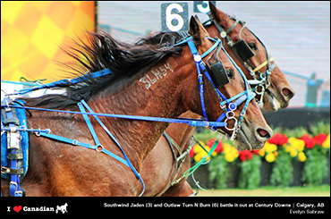 Meet March's Photographer