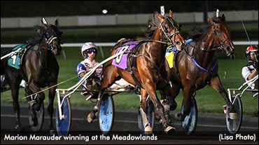 Marion Marauder Done For 2017