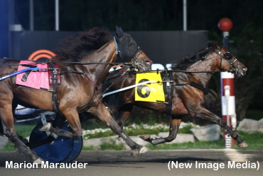 Mohawk Preferred To Marion Marauder