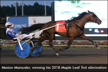 Marion Marauder's Miscue Explained