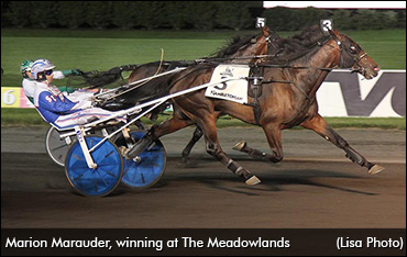 Marion Marauder Set To Debut