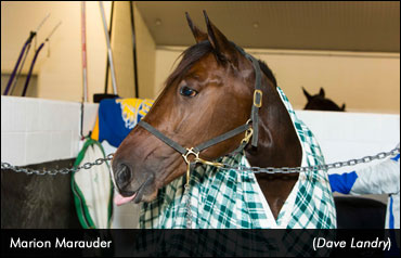 Another Crown For Wellwood Family?