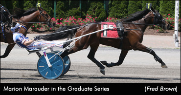 Marion Marauder Solid In 2017 Debut