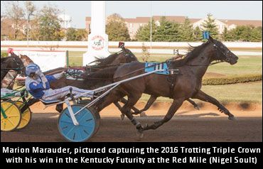 Marion Marauder Back In To Go