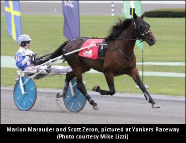 Zeron On 'Marauder,' International Trot