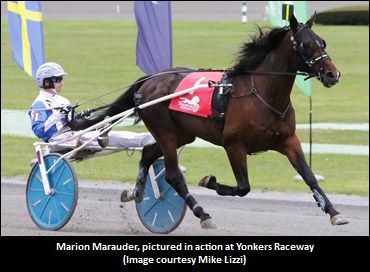 Zeron Discusses Marion Marauder