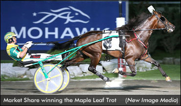 Cashman, Lady Liberty Fields Set