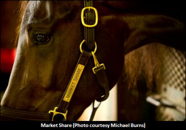 Toscano Discusses Market Share