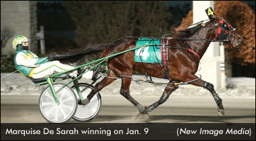 Marquise De Sarah Wins Preferred