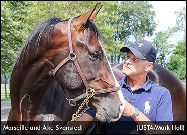 Another Hambo Upset For Svanstedt?