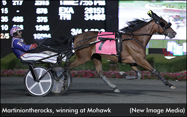 Martiniontherocks Passes