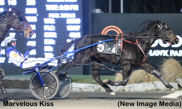 Pop Up Mania At Mohawk Park