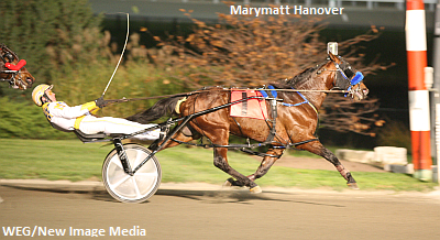 Marymatt Hanover Euthanized
