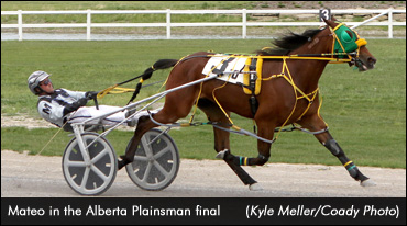 Mateo Sets Century Sophomore Record