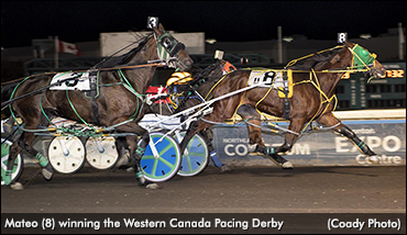 Mateo Wins Western Canada Derby
