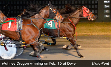 Matinee Dragon Pulls Off 56-1 Upset