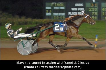 Maven To Contest The Elitlopp?