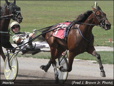 Maven Sweeps Miss Versatility Prelims