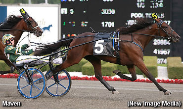 Stablemates Sweep Miss Versatility 