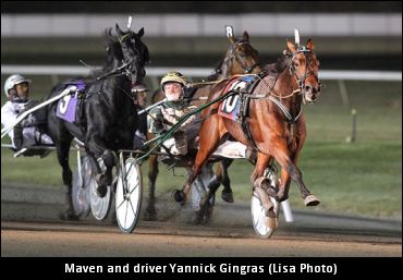 Takter On Maven Elitloppet Invite
