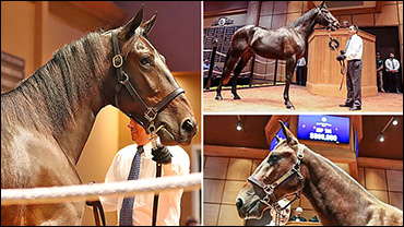 Million-Dollar Babies Hit The Track