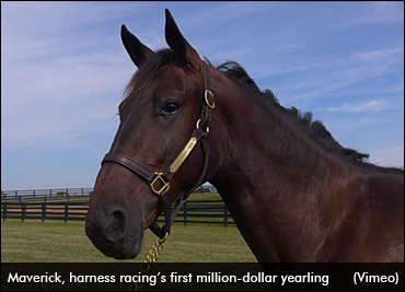 Maverick Breaks Maiden At First Asking