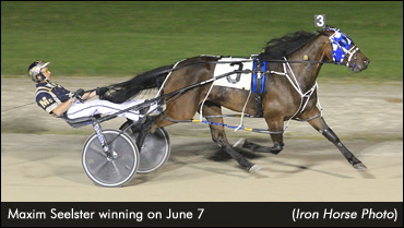 Maxim Seelster Wires Preferred Mares