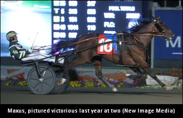 Baby Steps Toward The Hambo Baby Steps Toward The Hambo