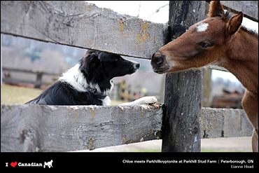 Meet May's Calendar Photographer